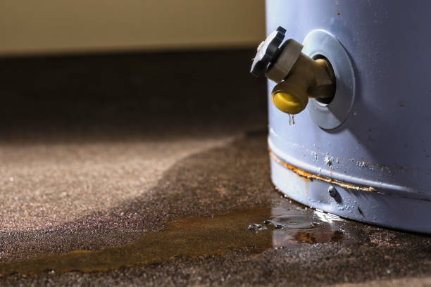 Best Residential water damage restoration  in Moundsville, WV