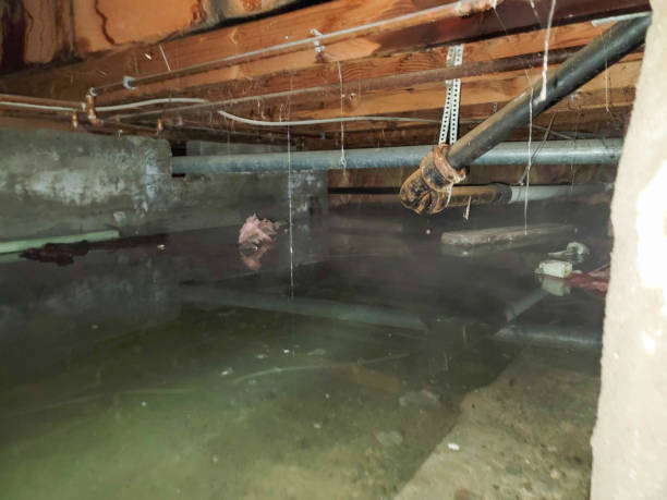 Best 24-hour water damage restoration  in Moundsville, WV