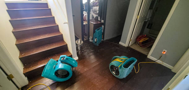 Best Basement water damage restoration  in Moundsville, WV