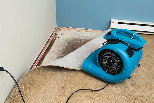 Best Sewage cleanup and water damage restoration  in Moundsville, WV